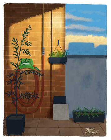 Late afternoon